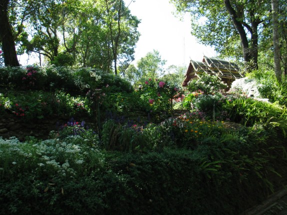 Cottage in the jungle