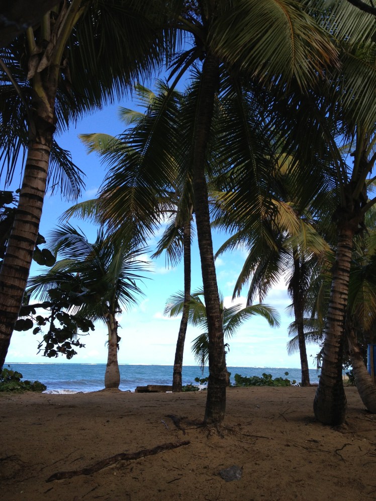 pics from jPhone start to 1.14.13 307